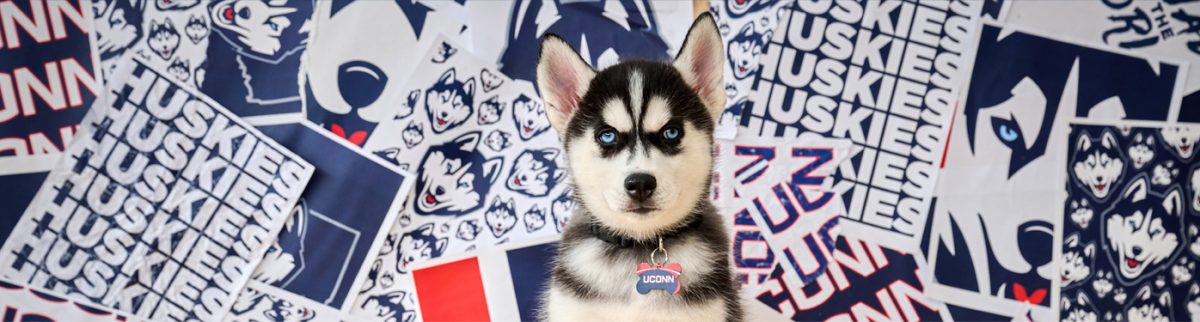Cute photo of Jonathan as a puppy sitting in front of a UConn banner.