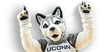 UConn Jobs