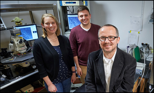 Faculty & Staff Openings