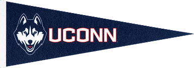 UConn Banner Flag